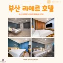 커피골목 | 전포동 공구길 골목 산책 + 달구나커피 카페 후기 (전리단길 카페)