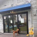 펫아울렛수영