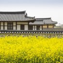 명승자동차정비 | &#34;600년 전 모습 그대로인데 입장료 무료까지..&#34; 조선의 시간이 그대로 남아있는 의미 있는 여행지