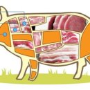 돼지고기의 효능 이미지