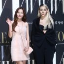 더블유씨엘 이미지