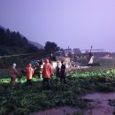 콩밭에 이미지