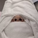 예솜의원 | 리센츠상가 피부과 레이저토닝 내돈내산후기