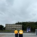 옛날두부촌 | 25년 10월 둘째주 놀고 먹은 일상(10/8~12)feat.고석정, 철원두부촌