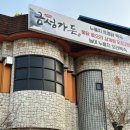 금성애견 이미지