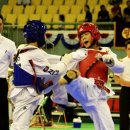 태백강원태권도체육관 이미지