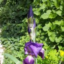 화곡6동 이미지