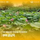 백제문화단지-부소산성-궁남지-정림사지-백제문화단지 | 혼자떠난 부여여행기 백제문화단지 궁남지 낙화암 부소산성 정림사지 5층석탑 국립부여박물관