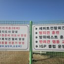 메이저 애견훈련학교 이미지