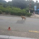 귀족PC방 | 2025년 여름 후기