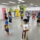 국가대표 태비태권도 이미지