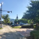 서농동게이트볼장 이미지