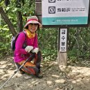 대전둘레산길(9구간) 이미지