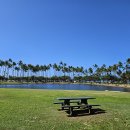 발산어르신행복센터 화장실 | 하와이 로컬들이 사랑하는 보석과 같은 장소, 알라모아나 비치 파크(Ala Moana Regional Park)를 방문...