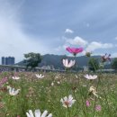 대저생태공원 이미지