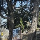 전북제사 1970 데프콘1 이미지