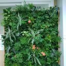 안양시청 이미지