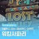 현대물물 | 24개월 아기랑 워킹사파리 후기, 에버랜드 코스 추천, 주차 팁, 티켓할인