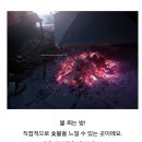 포천 스키장&숯가마 벙개2탄 예고및 사전조사 이미지