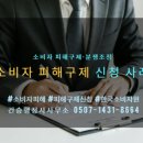 맥행정사, 손해사정사무소 | [청주행정사 건승] 소송보다 간편한 소비자 피해구제 신청 사례, 후기