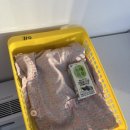 (주)오르빛산후조리원 | 경기도 성남시 오르빛 산후조리원 후기