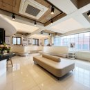 다솜고양이메디컬센터 이미지