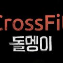 크로스핏 돌멩이 이미지