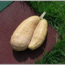 숲속나라어린이집 이미지