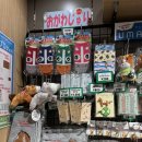 일본 경마숍에서 귀여운 말인형을 구매했다 / 오사카 Gate.J JRA 일본경마중앙회