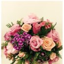 별님캔들 이미지