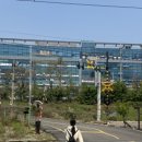 (주)연어 이미지