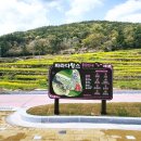 남해-137 이미지