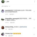 이렐리야 이미지