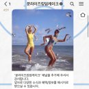 moonrise kingdom(문라이즈킹덤) | 문라이즈킹덤 케이크 일산점 주문 불호 후기~!