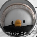 일본어회화 이미지