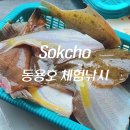 속초배낚시 고성 동용호 참가자미 만선으로 돌아온 후기