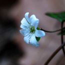 안남공원 이미지