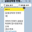 금융감독원 사건접수 (허위공문서 작성) 이미지