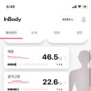 바디스토리짐 이미지