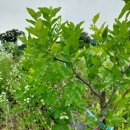 중말농장 이미지