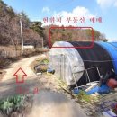 공주공인중개사사무소 이미지