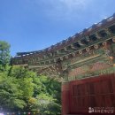 마곡사관광지 | 공주 여행 가볼만한 곳! 마곡사, 공산성, 제민천