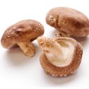 봉덕농장 이미지