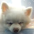 한라동물종합병원 이미지