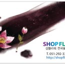 부산광역시의료원 노인전문병원 이미지