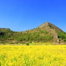 (주)교보문고
