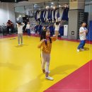 코리아 유도 멀티짐 이미지