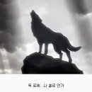 - 득 로에 주방일지, 나 홀로 연가 39. 이미지