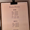 피오리오 이미지