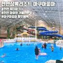 골드PC | 천안 상록 아쿠아피아 워터파크 이용후기 운영일정 준비물 푸드코트 할인혜택 정보 공유